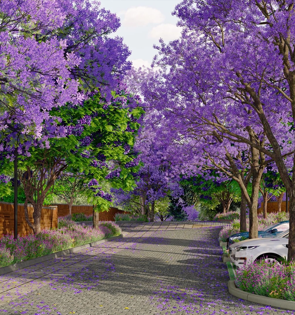 Violet Hill by Total Environment Bandra